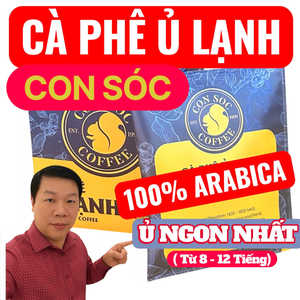 Cà phê ủ lạnh túi lọc Cold Brew Con Sóc Hộp 7 Túi
