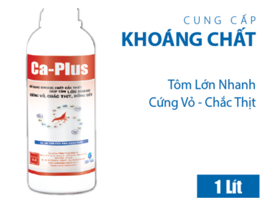 CA-PLUS