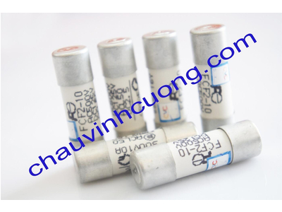 Cầu chì Fuji FCF2-10