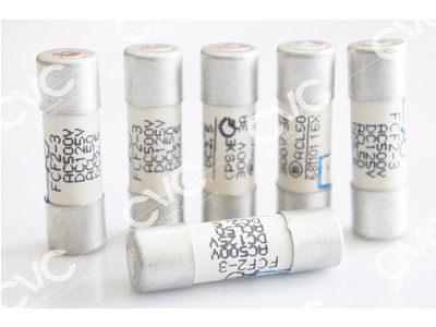 Cầu chì Fuji FCF2-3