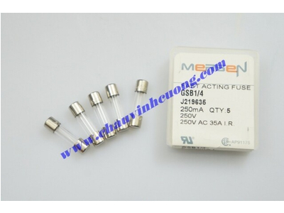 Cầu chì kính Ferraz Shawmut GSB1/4