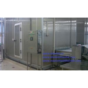 Các băng chuyền thường đi kèm các buồng cấp đông I.Q.F