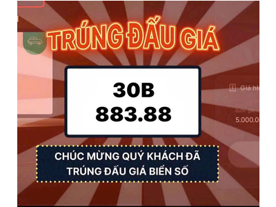 Các bước thực hiện một cuộc đấu giá biển số xe ô tô - xe máy