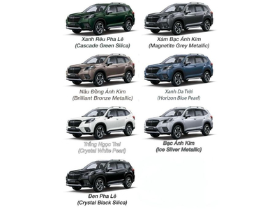 Bảng Màu Xe Subaru Forester 2026 và Hình Ảnh, Video Thực Tế
