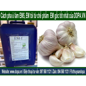 Cách Pha ủ làm chế phẩm EM5 và EM Tỏi Từ Chế Phẩm EM1 hay EM gốc
