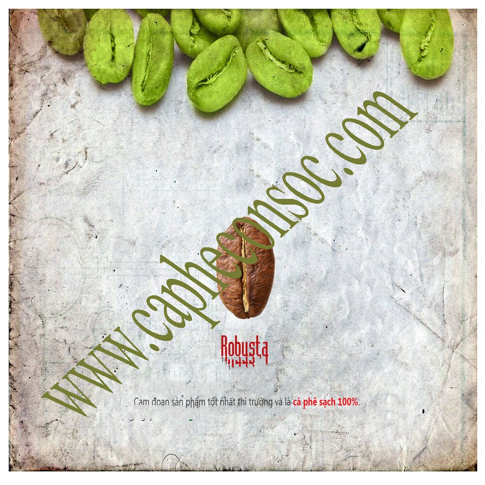 ConSoc Coffee Bio Robusta Whole Bean - 200gr