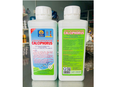 CALCIPHORUS