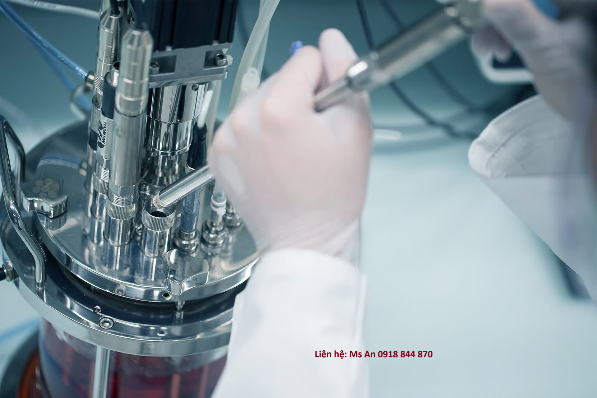 Cảm Biến Đo Mật Độ Tế Bào Hamilton