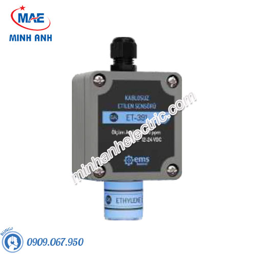 Cảm biến khí CO không dây EMS CT-391