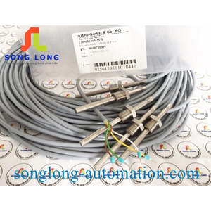 CAN NHIỆT PT100 JUMO 902050/10