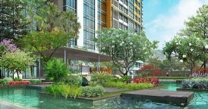 Cần Tiền Bán Lô Đất Phường Trường Thọ,Quận Thủ Đức