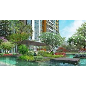 Cần Tiền Bán Lô Đất Phường Trường Thọ,Quận Thủ Đức