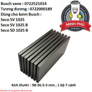 CÁNH GẠT BƠM BUSCH 0722000189