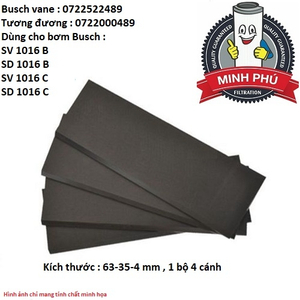 CÁNH GẠT BƠM BUSCH 0722522489