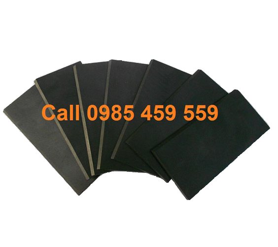 CÁNH GẠT BƠM RIETSCHLE 523556-0000