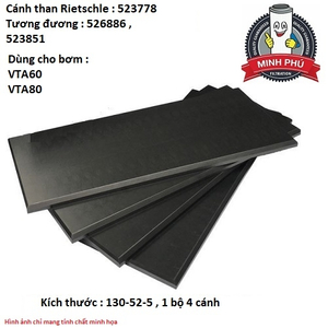 CÁNH GẠT BƠM RIETSCHLE 52377