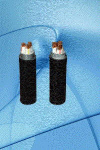 Cáp điện lực hạ thế 1- 4 lõi, lõi, ruột đồng, cách điện PVC , vỏ PVC,giáp bảo vệ 2 lớp băng kim loại