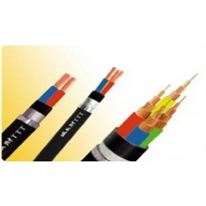 Cáp Điện Lực Lõi Đồng, Cách Điện PVC 0.6/1KV, Giáp Băng