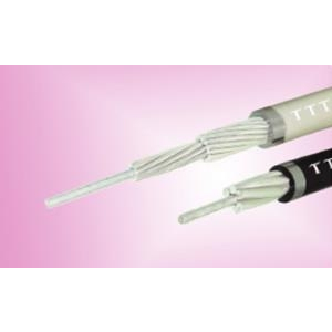 Cáp Điện Lực Nhôm Lõi Thép, Cách Điện PVC 0.6/1KV