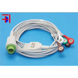 Cáp điện tim Biolight 12pins