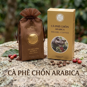 Hộp Cà phê Chồn Arabica - 125gam( Hộp Giấy) - Tặng Túi Giấy