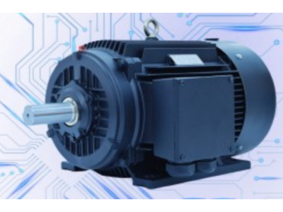 ĐỘNG CƠ ĐỒNG BỘ NAM CHÂM VĨNH CỬU PMSM