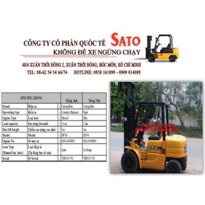 Cho thuê xe nâng Caterpillar DP30