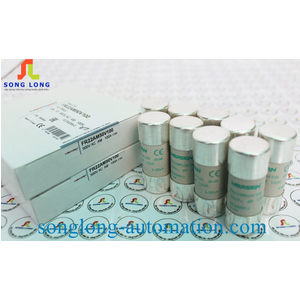 CẦU CHÌ MERSEN FR22AM50V100