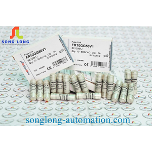 CẦU CHÌ 10X38 FERRAZ SHAWMUT FR10GG50V1