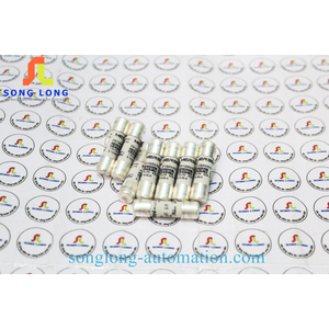 CẦU CHÌ 10X38 FERRAZ SHAWMUT FR10GR69V6