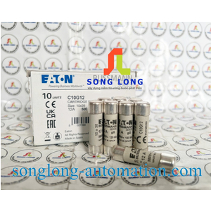 CẦU CHÌ 10X38 EATON C10G12