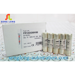 CẦU CHÌ 14X51 MERSEN FR14GG50V50