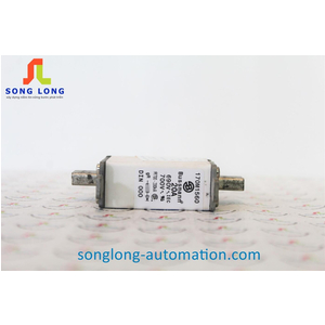 CẦU CHÌ BUSSMANN 170M1560