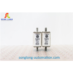 CẦU CHÌ BUSSMANN 170M2700