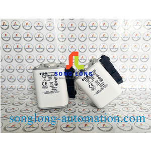 CẦU CHÌ EATON 170M4953