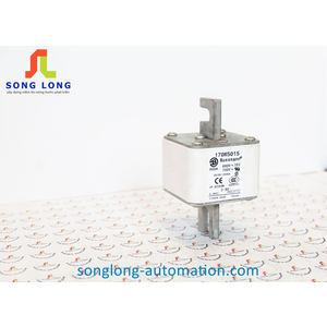 CẦU CHÌ BUSSMANN 170M5015
