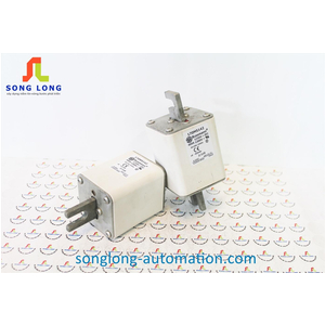 CẦU CHÌ BUSSMANN 170M5142