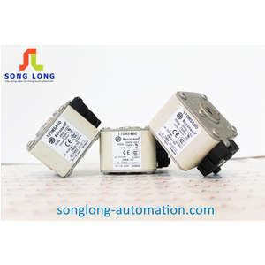 CẦU CHÌ BUSSMANN 170M5460