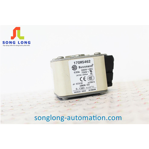 CẦU CHÌ BUSSMANN 170M5462