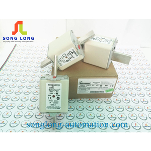 CẦU CHÌ BUSSMANN 170M5811D