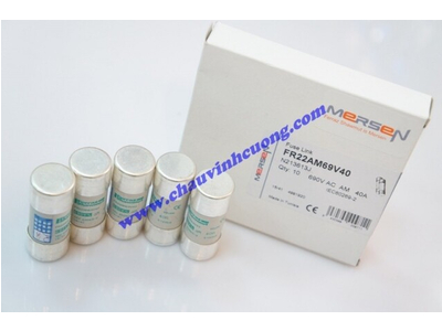 CẦU CHÌ 22x58 FERRAZ SHAWMUT FR22AM69V40