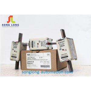 CẦU CHÌ BUSSMANN 250NHG1B
