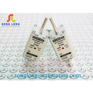 CẦU CHÌ FERRAZ SHAWMUT NH1GG50V315