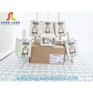 CẦU CHÌ FERRAZ SHAWMUT NH2GG50V400