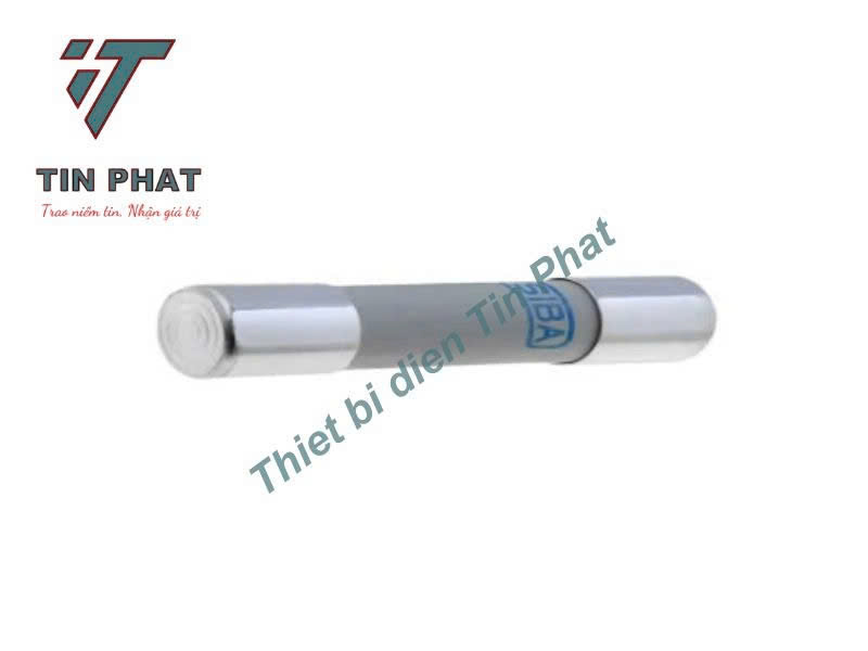 CẦU CHÌ SIBA 5012406.25 690V 25A