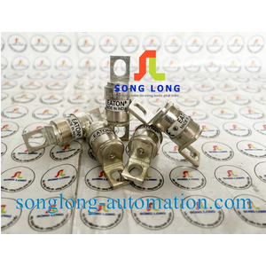 CẦU CHÌ EATON 80LET