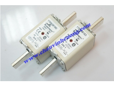 Cầu chì Bussmann 170M3818D