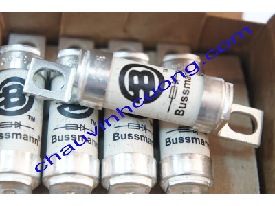 Cầu chì BUSSMANN 100FE