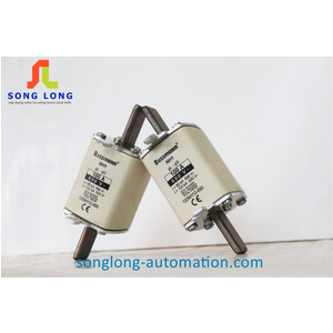 CẦU CHÌ BUSSMANN 100NH1G-690