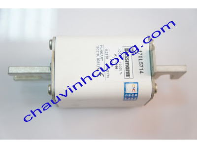 Cầu chì Bussmann 170L5714
